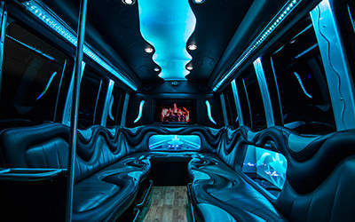 14 Passenger Ford Limo Party Coach