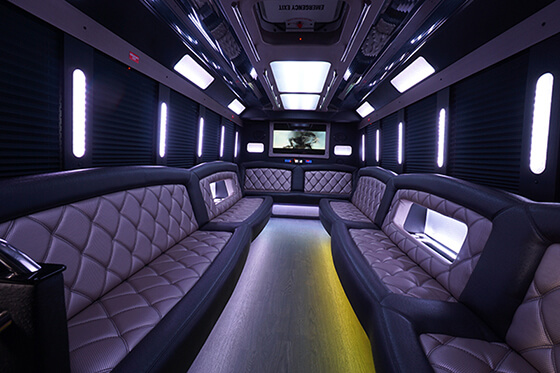  led lights in our party bus